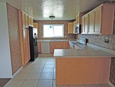 Kitchen View 2