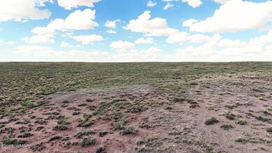 0 Ariz Rancho #85 Lots 005 & 024 unit 258777, Sun Valley, AZ 86029 - photo 7