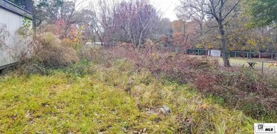 1203 U S 80, Calhoun, LA 71225 - photo 4