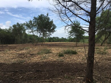 0000 Childs, Alvin, TX 77511 - photo 7