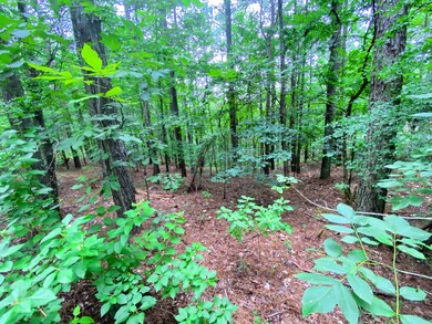 0000B Sugarberry Trail, Hochatown, OK 74728 - photo 4