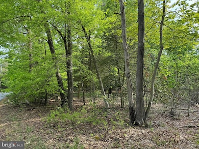 0 Old Marshall Hall Rd unit MDPG2145050, Accokeek, MD 20607 - photo 5