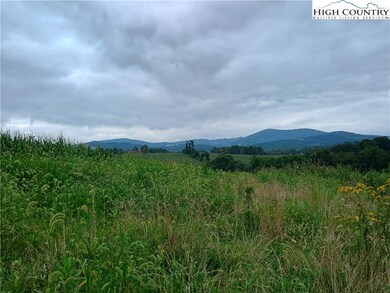 Tract 5 Millards Way, Sparta, NC 28675 - photo 6