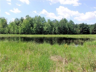 0 Old 35 unit 1531995, Webster, WI 54893 - photo 7