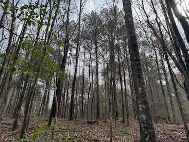 918a Auburn Dr SW, Bogue Chitto, MS 39629 - photo 3