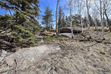 926 W Bison Creek Trail, Divide, CO 80814 - photo 6