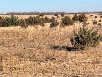 527/871 Ave Rd, Creighton, NE 68729 - photo 4