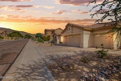 Desert Broom Virtual Twilight