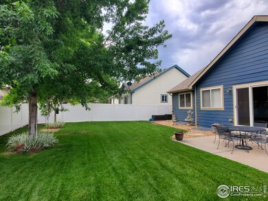 Facing South in backyard