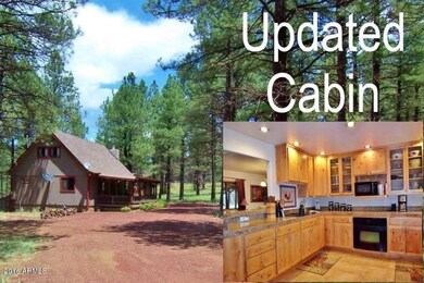Updated Cabin