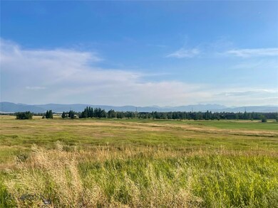 View from backyard
