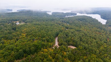 16-10 Winnipesaukee Dr unit Survey Lot 10-Town L, Wolfeboro, NH 03894 - photo 7