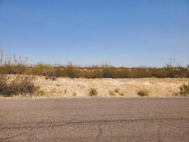 21400 W Vista Royale Dr unit 26, Wickenburg, AZ 85390 - photo 2