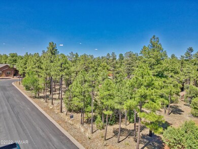 DJI_0366_96