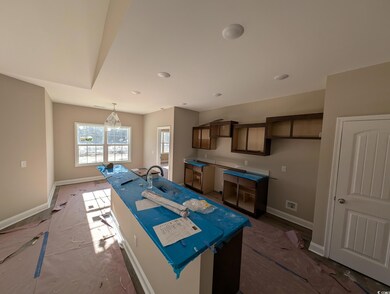 TBD 4 Mineral Springs Rd, Conway, SC 29527 - photo 6