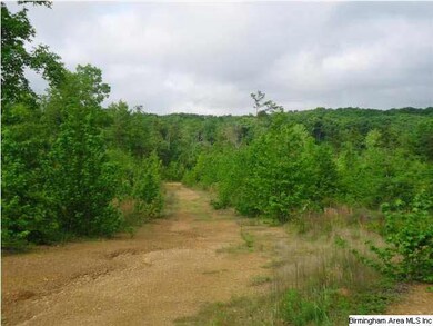This is an existing road which leads to the back o