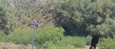 0XXXX N Columbia Mine (Lots A & B) Trail unit 75, Morristown, AZ 85342 - photo 5