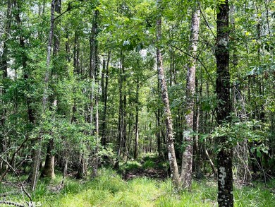 0 St Hwy 59 unit 348142, Stockton, AL 36579 - photo 2