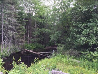 6 Ledgeside Ln, Plymouth, NH 03264 - photo 3