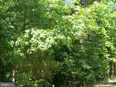 LOT 2 Cat Boat Aly, Seaford, DE 19973 - photo 5