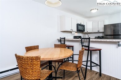 128 Zeb St unit A303, Boone, NC 28607 - photo 5