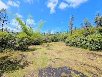 15-2031 24th Ave, Keaau, HI 96749 - photo 7