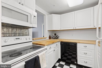 28 Allegheny Ave unit 2112, Towson, MD 21204 - photo 4