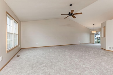 817 Mill Run Dr, Sunbury, OH 43074 - photo 6