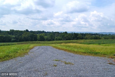 3712 Petersville Rd, Knoxville, MD 21758 - photo 5