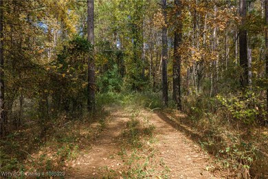 TBD Arkansas 23, Booneville, AR 72927 - photo 6