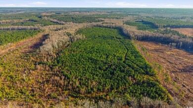 TBD S Carolina 34, Bishopville, SC 29010 - photo 4