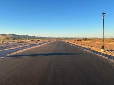 IMG_8005 (1)