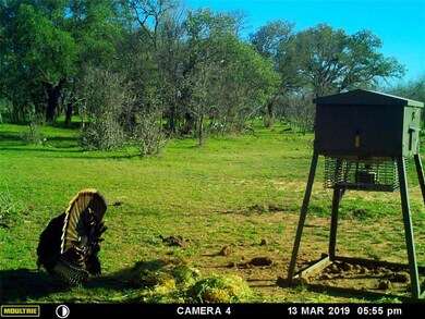 12368 County Road 129, Brownwood, TX 76801 - photo 3