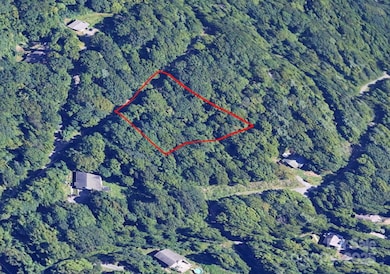 1 Green Ridge Falls Rd, Barnardsville, NC 28709 - photo 4