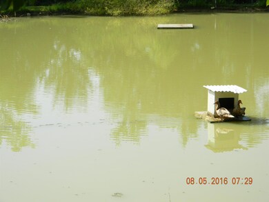 225 Temple Ford Rd, Shelbyville, TN 37160 - photo 6