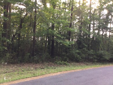 0 Stanley Rd unit 45-707, Leesville, LA 71446 - photo 3