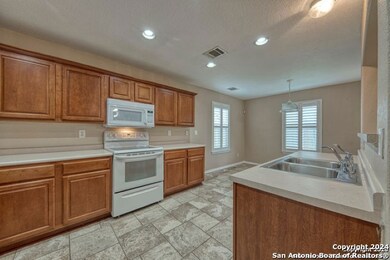 11119 Catchfly Field, Helotes, TX 78023 - photo 7