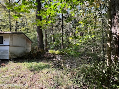 Side Yard