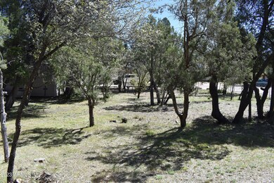 908 E Wagon Wheel Cir unit 47, Payson, AZ 85541 - photo 3