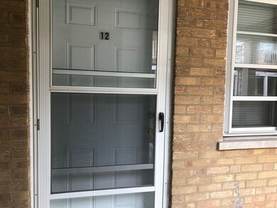 4753 25th Ave unit 12, Schiller Park, IL 60176 - photo 3