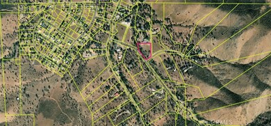 6601 Big Springs Rd, Squirrel Mountain Valley, CA 93240 - photo 4