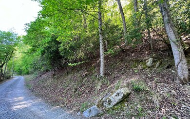 Additional View