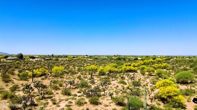 Cactus Forest Revised Aerial 6
