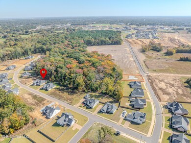 grand oak -6