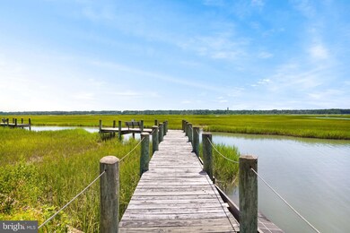 7220 Fiddler Bay Ln, Chincoteague Island, VA 23336 - photo 4