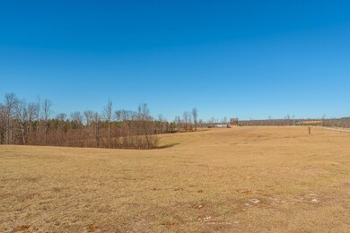 Cleared and Ready to Build