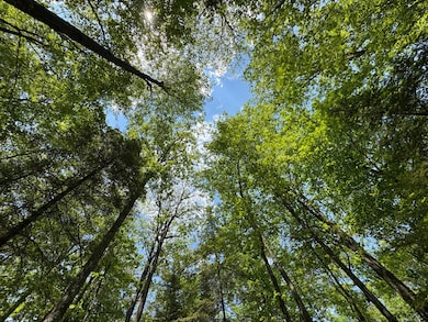 Lot 127 Woodhill Ct, Minocqua, WI 54548 - photo 5