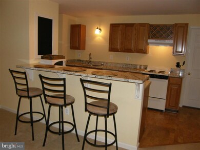 0 Great Bridge Ln, Culpeper, VA 22701 - photo 6