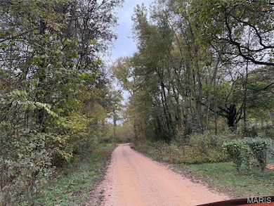 View of dirt / gravel road featuring a view of trees