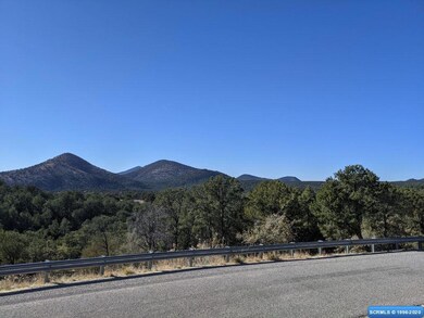 4775 N Swan St, Silver City, NM 88061 - photo 5